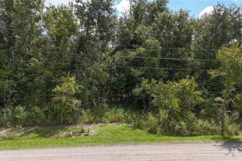 Land in Lakeland, Florida № 1917276 - photo 6