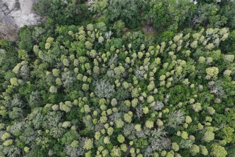 Land in Lakeland, Florida № 1917276 - photo 26