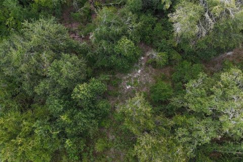 Land in Lakeland, Florida № 1917276 - photo 28