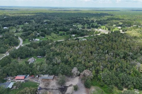 Land in Lakeland, Florida № 1917276 - photo 16