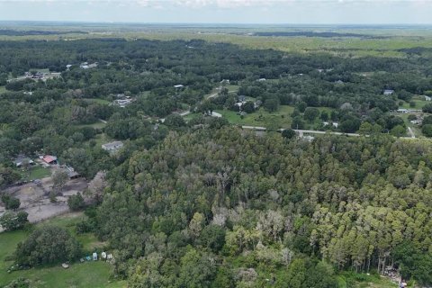Land in Lakeland, Florida № 1917276 - photo 18