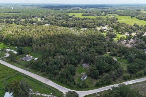 Land in Lakeland, Florida № 1917276 - photo 13