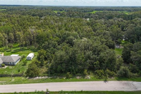 Land in Lakeland, Florida № 1917276 - photo 11