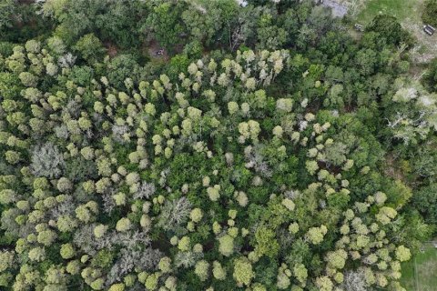 Land in Lakeland, Florida № 1917276 - photo 25