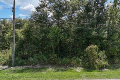 Land in Lakeland, Florida № 1917276 - photo 5