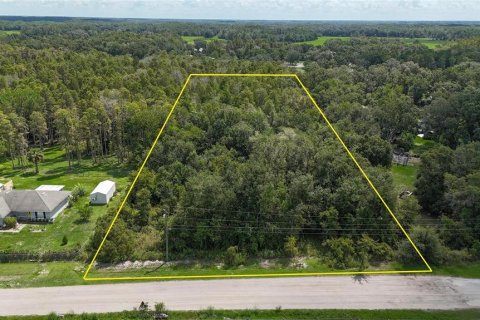 Land in Lakeland, Florida № 1917276 - photo 10