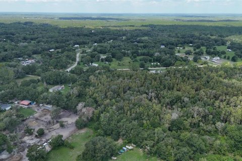 Land in Lakeland, Florida № 1917276 - photo 17