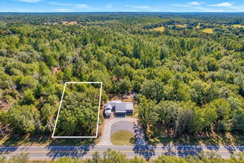 Commercial property in Dunnellon, Florida 91.42 sq.m. № 2391535 - photo 23
