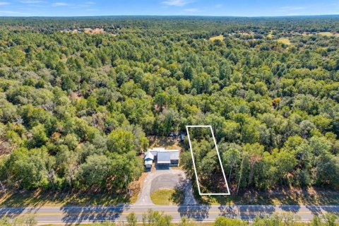 Commercial property in Dunnellon, Florida 91.42 sq.m. № 2391535 - photo 21