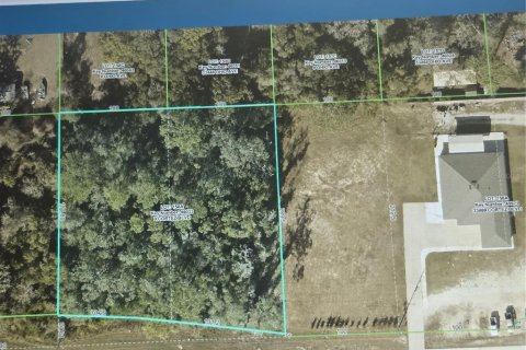 Land in Dade City, Florida № 2366618