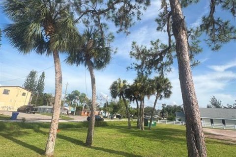 Land in Ruskin, Florida № 1820871 - photo 6