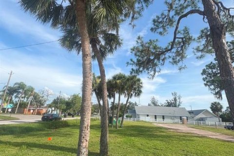 Land in Ruskin, Florida № 1820871 - photo 4