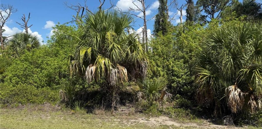 Terrain à North Port, Floride № 2232348