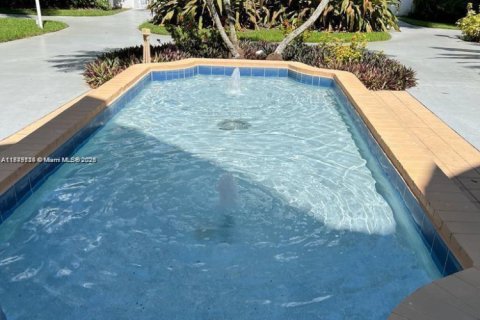 Copropriété à louer à Miami, Floride: 1 chambre, 76.74 m2 № 1921404 - photo 10