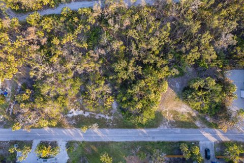 Terreno en venta en Longboat Key, Florida № 1722963 - foto 17