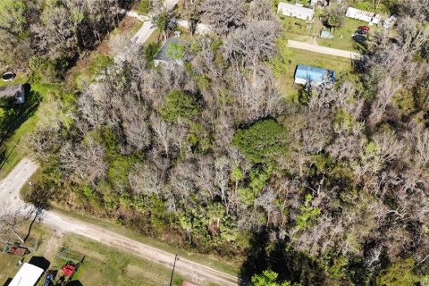 Land in Ocala, Florida № 2232730 - photo 2