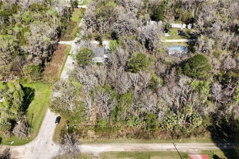Land in Ocala, Florida № 2232730