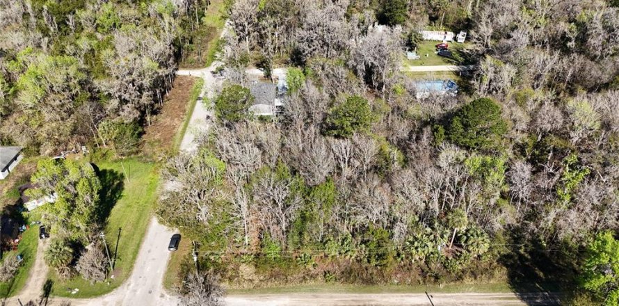 Land in Ocala, Florida № 2232730
