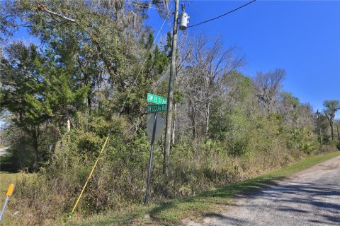 Land in Ocala, Florida № 2232730 - photo 5