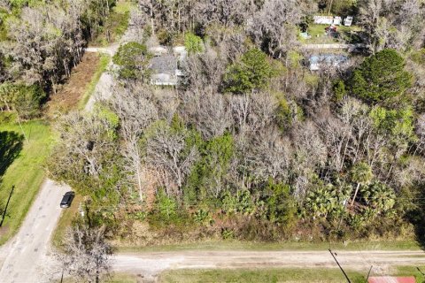 Land in Ocala, Florida № 2232730 - photo 3