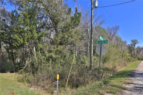 Land in Ocala, Florida № 2232730 - photo 4