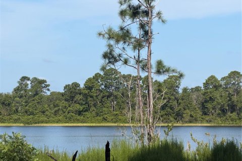 Terrain à vendre à Ocklawaha, Floride № 2203709 - photo 3