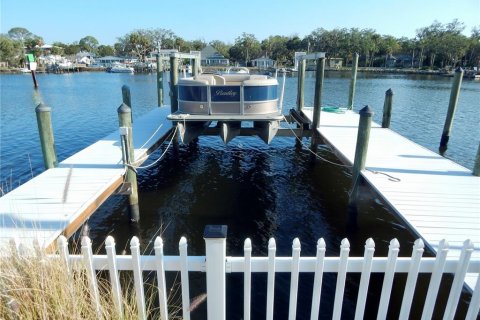House in Port Richey, Florida 4 bedrooms, 341.14 sq.m. № 2210038 - photo 2