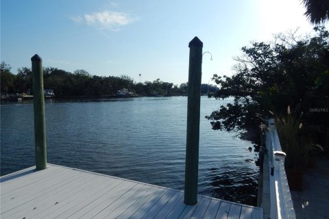House in Port Richey, Florida 4 bedrooms, 341.14 sq.m. № 2210038 - photo 29