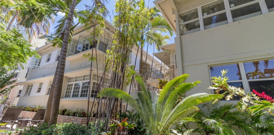 Studio in the Condo in Miami Beach, Florida № 1955880