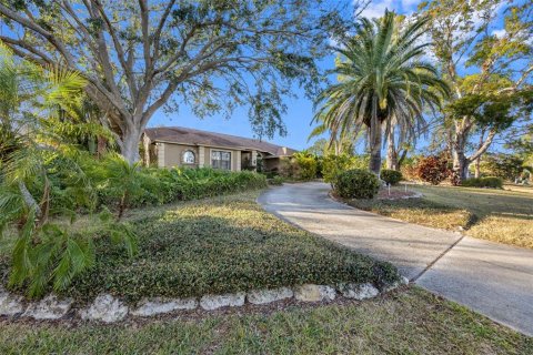 House in Tarpon Springs, Florida 4 bedrooms, 283.07 sq.m. № 1817484 - photo 3
