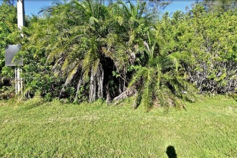Land in St. Lucie, Florida № 1818145 - photo 1