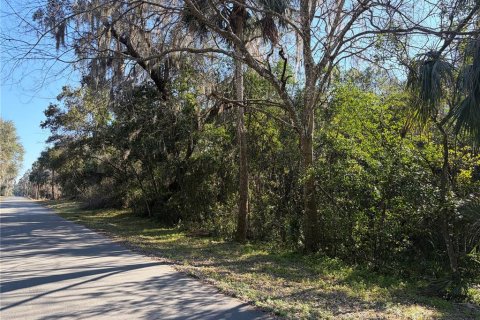 Land in De Leon Springs, Florida № 2160918 - photo 4