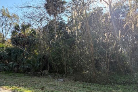 Land in De Leon Springs, Florida № 2160918 - photo 5