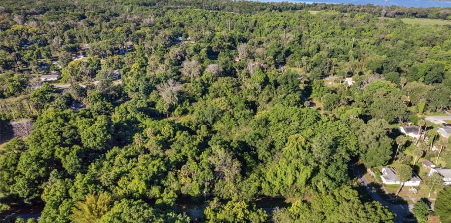 Land in De Leon Springs, Florida № 2160918