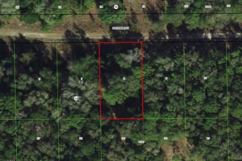 Land in Inverness, Florida № 2341767