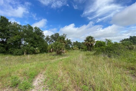 Land in Punta Gorda, Florida № 2160579 - photo 3