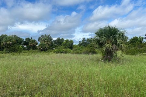 Land in Punta Gorda, Florida № 2160579