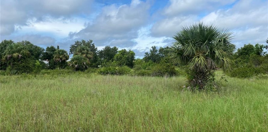 Land in Punta Gorda, Florida № 2160579