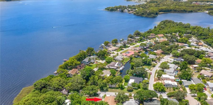 Villa ou maison à Tarpon Springs, Floride 4 chambres, 205.04 m2 № 2304565