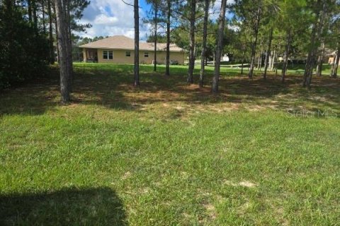 Land in Lecanto, Florida № 2207481 - photo 2