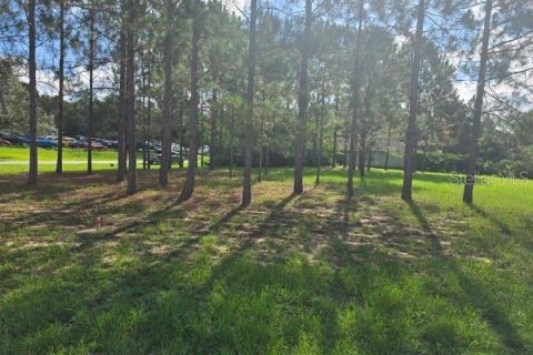 Land in Lecanto, Florida № 2207481 - photo 3