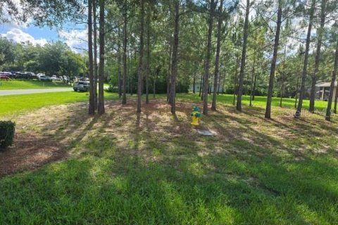 Land in Lecanto, Florida № 2207481 - photo 4