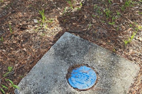Land in Lecanto, Florida № 2207481 - photo 6