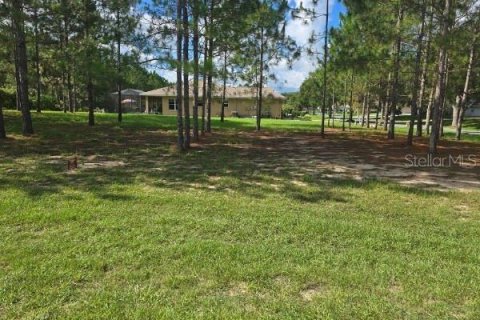 Land in Lecanto, Florida № 2207481