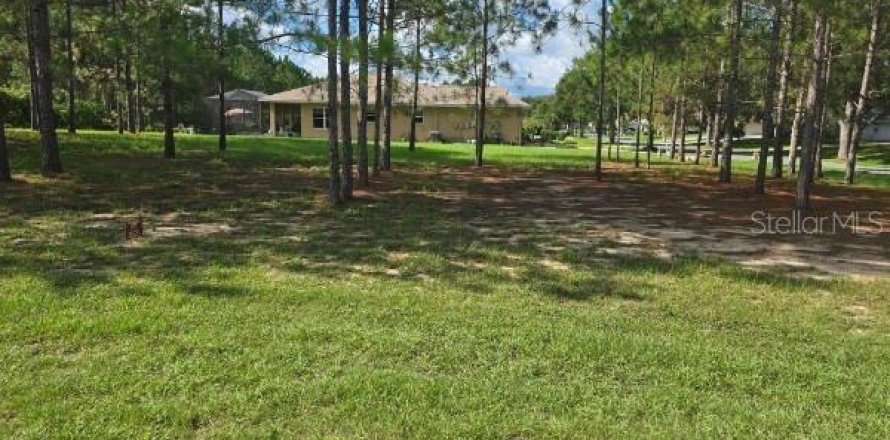 Land in Lecanto, Florida № 2207481