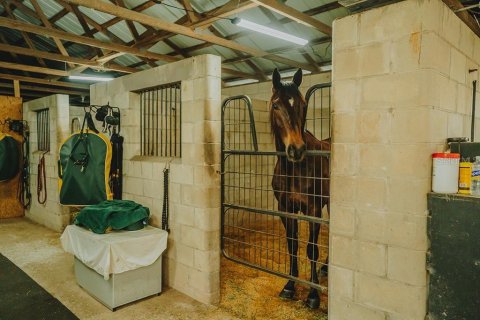 House in Bell, Florida 3 bedrooms, 144.93 sq.m. № 1736291 - photo 28