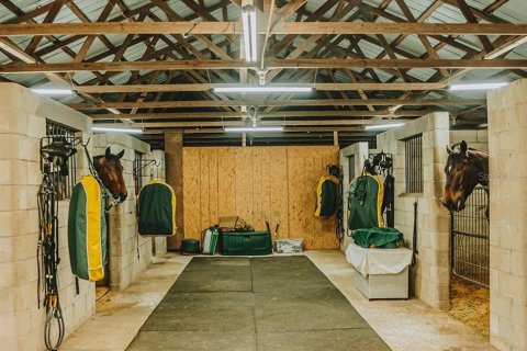 House in Bell, Florida 3 bedrooms, 144.93 sq.m. № 1736291 - photo 26