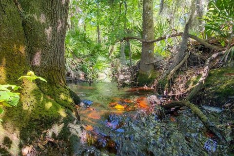 House in Bell, Florida 3 bedrooms, 144.93 sq.m. № 1736291 - photo 6