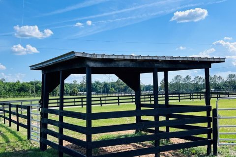 House in Bell, Florida 3 bedrooms, 144.93 sq.m. № 1736291 - photo 24