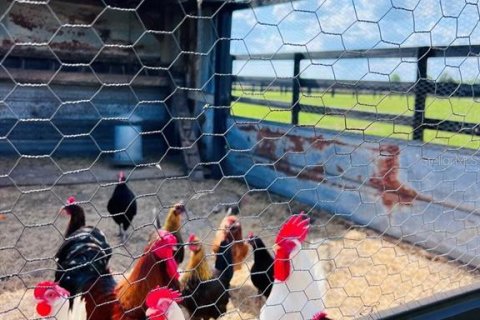 House in Bell, Florida 3 bedrooms, 144.93 sq.m. № 1736291 - photo 2